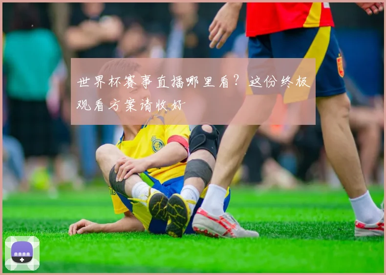 世界杯赛事直播哪里看？这份终极观看方案请收好